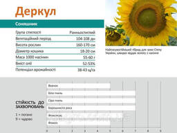 Семена подсолнечника Деркул, экстра