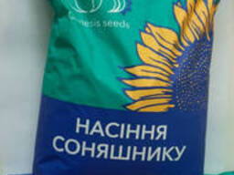 Семена подсолнечника Экватор 42 ц/га под евро-лайтнинг, ТМ Genesis, Украина