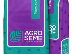 Семена подсолнечника гибрид НС Х 8005 (стандарт) 2025 год