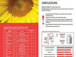 Семена подсолнечника Лимагрейн Мегасан (Limagrain Megasun) - фото 1