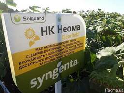 Семена подсолнечника, Syngenta (Сингента), НК НЕОМА