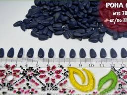 Семена подсолнечника Рона, устойчив к гербициду Гранстар