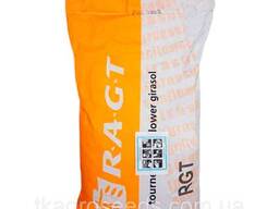 Семена Подсолнечника Воллтер СУ