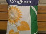 Семена подсолнечника Сингента НК Неома Syngenta NK NEOMА2017 - фото 1