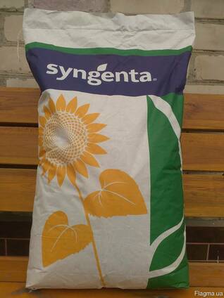 Семена подсолнечника Сингента НК Неома Syngenta NK NEOMА2017