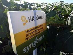Семена подсолнечника, Syngenta (Сингента), НК КОНДИ
