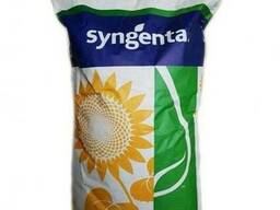 Семена подсолнечника, Syngenta (Сингента), НК БРИО
