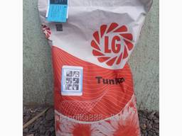 Семена подсолнечника Тунка от Limagrain (Лимагрейн).