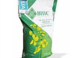 Семена рапса озимого гибрид Торус (Classiс) (2023 Год), ТМ "ВНИС", Украина