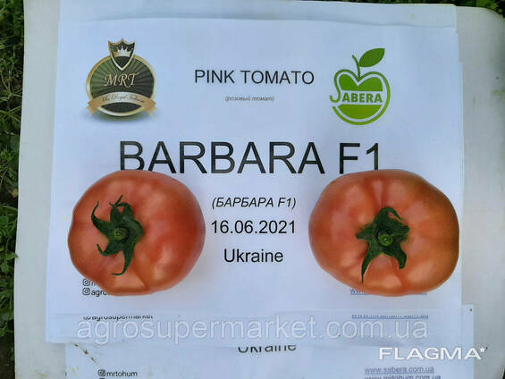 Семена розовый томат Barbara F1 (Барбара F1) Супер ранний, Mrtohum Турция 500seeds