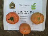 Семена розовый томат Milinda F1 ранний, Mrtohum Турция - фото 7