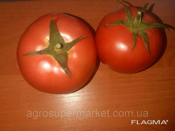 Семена розовый томат папилон F1 (Papilon F1) Супер ранний, Mrtohum Турция