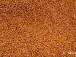 Семена Рыжик посевной, пищевой, лекарственный 1кг