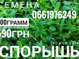 Семена Белого Клевера - фото 8
