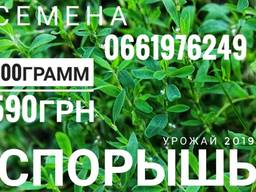 Семена Спорыша