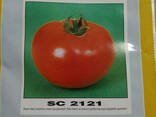 Семена томата S. C. 2121 ультраранний BT Tohum, 10гр - фото 1