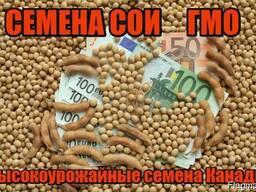 Семена трансгенной сои ГМО Abbi Канада