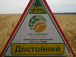 Семена ячменя озимого Достойный от производителя