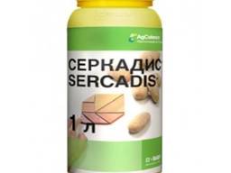 Серкадіс - ефективний протруйник для насіння картоплі.