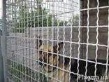Сетка канилированная 30 х 30х 3 мм карта 1 х 2 метра. - фото 1