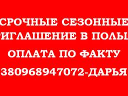 Сезонные приглашение