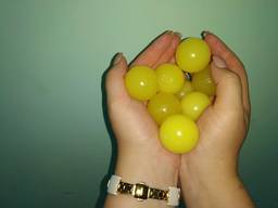 Шары полиуретановые для очистки вибросит