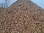 Щепа - фото 1