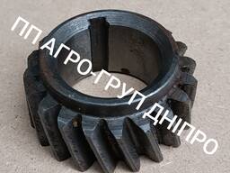 Шестерня 240-1005030-Б кут 15° нов/зр Z-20 Шестерня колінвалу Д-240 245 245. Е2 MMZ-3LD