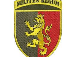 Шеврон 24 ОМБр цветной