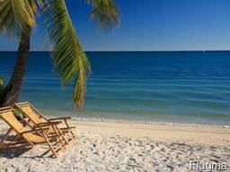 Шезлонги деревянные