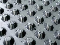 Шиповидная мембрана