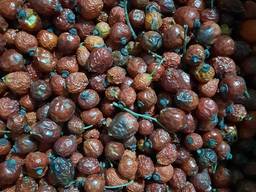 Шиповник урожай 2021г