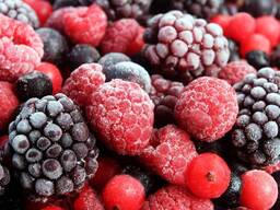 Шокова заморозка ягід, фруктів, овочів та грибів