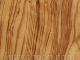 Шпон Олива (Оливковое Дерево) - фото 1