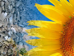 Шрот подсолнечный