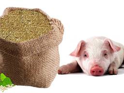 Шрот соевый Шрот соєвий Soybean meal