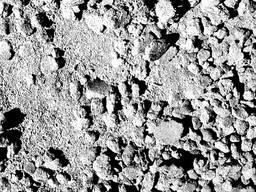 Шрот технический Протеин 29-32% г. Запорожье