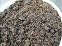 Шрот, жмых рапса