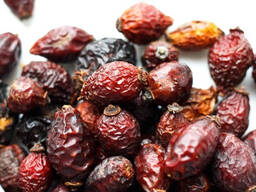 Шипшина сушена продам