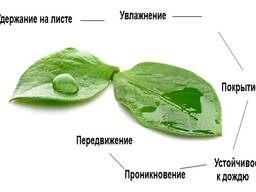 Силиконовый адъювант