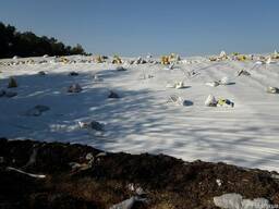 Силосная плёнка, чёрно-белая