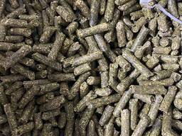 Сіно гранульоване (а також в тюках, для переробки) куплю