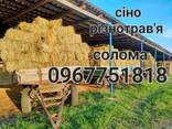 ^Сіно (сено) різнотрав'я-суданка та солома - фото 3