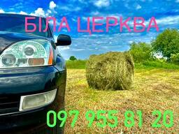 Сіно в тюках від Виробника БІЛА ЦЕРКВА!