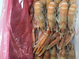 Скампии4/7,8/12,13/16,16/20