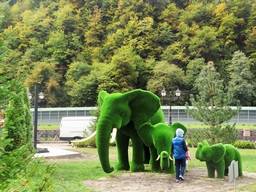 Скульптура топиари от мастерской декора «Студии ОМИ »