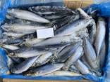 Скумбрия 250-300 нет в наличии - фото 2