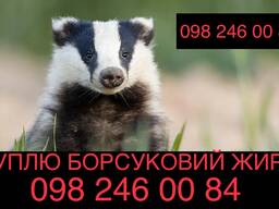 Скупка Борсукового жиру