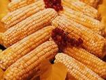 Сладкая кукуруза в початках - фото 2