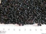 Смородина черная ягоды сушеные и лист сушёный - фото 1